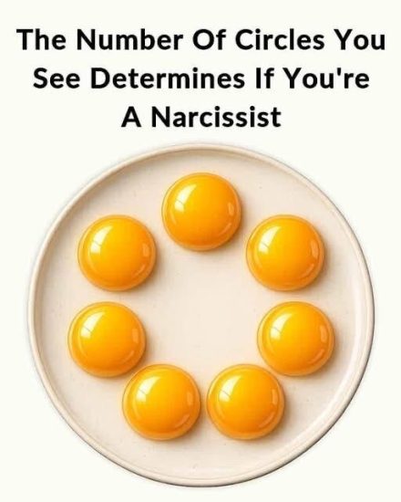 This Viral “How Many Circles Do You See?” Image Claims to Reveal If You’re a Narcissist, but What You Notice First Actually Says More About Your Attention, Thinking Style, and Perception of Reality Than Any Personality Label—Here’s What Your Answer Really Means and Why It’s Just for Fun